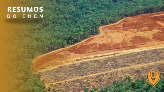 Desmatamento na Amazônia: Causas, Consequências e Desafios Atuais